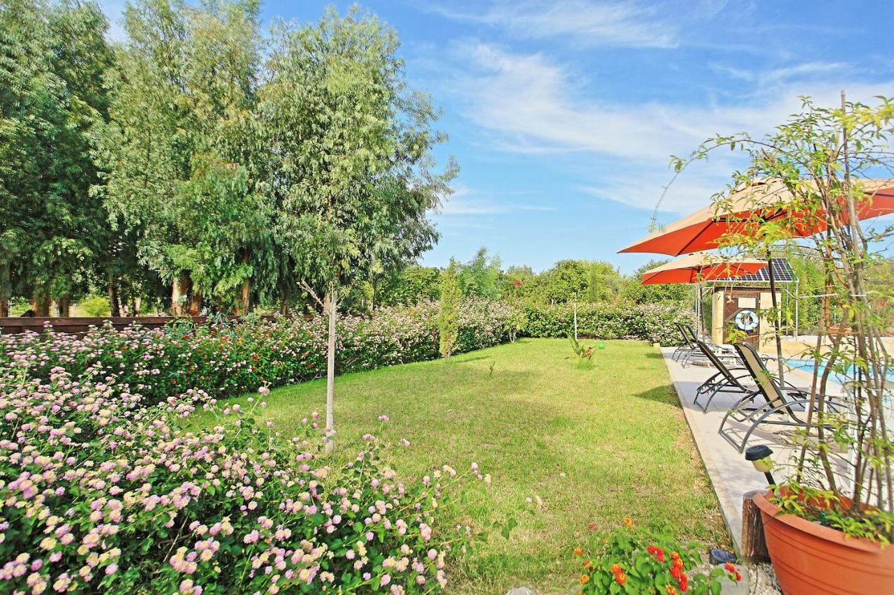 Villa Georgios Rafaela Polis Kültér fotó